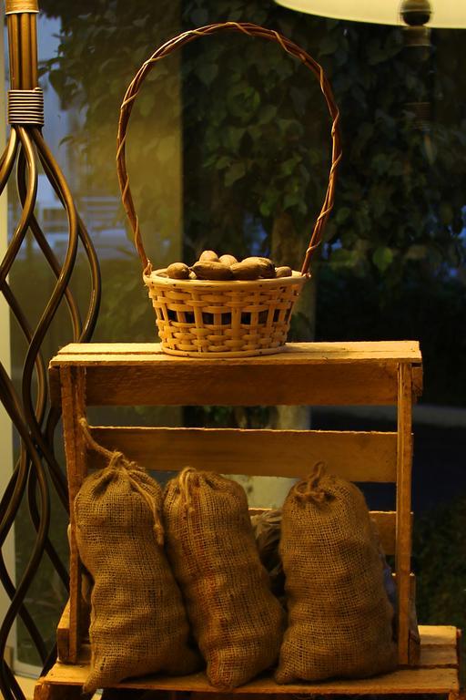 Hotel Villa De Valverde Ica Dış mekan fotoğraf